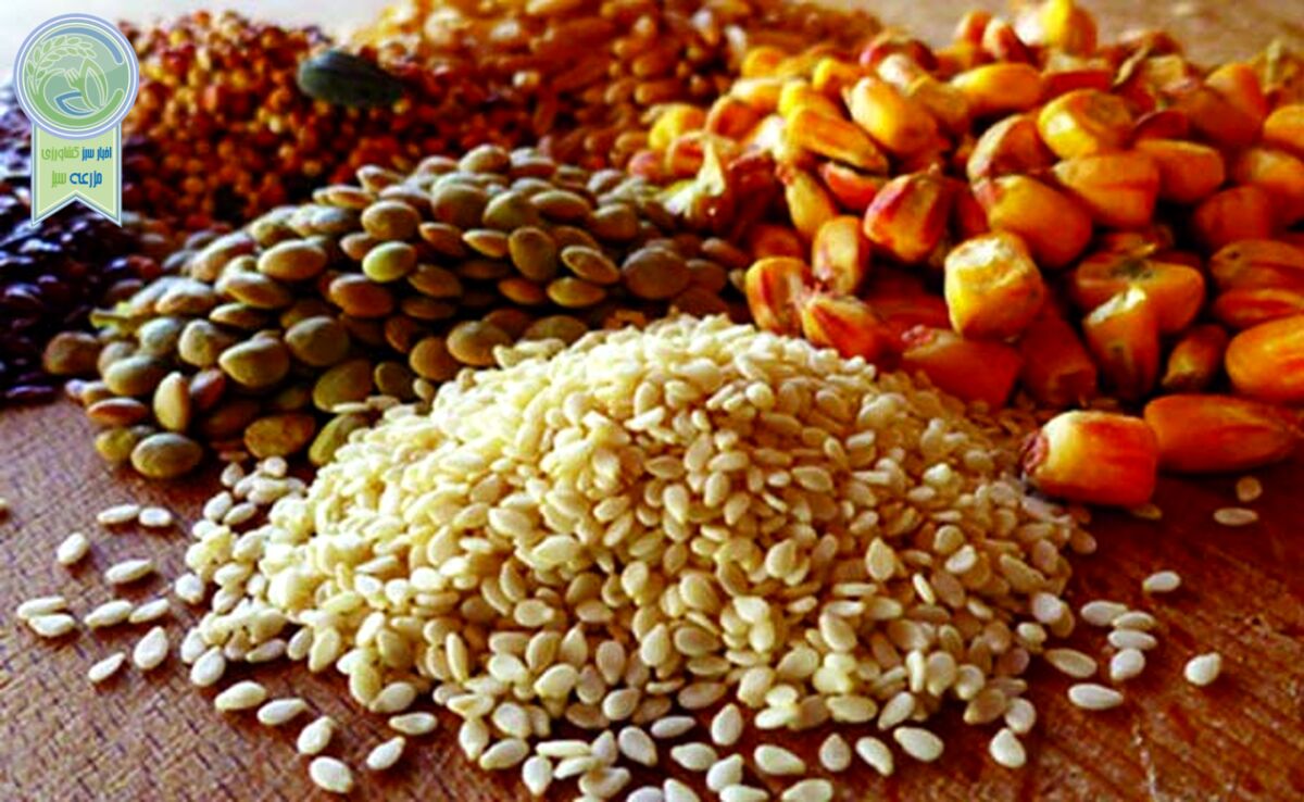 قیمت نهاده های دامی و کشاورزی ۵ اردیبهشت ۱۴۰۳+ جدول

