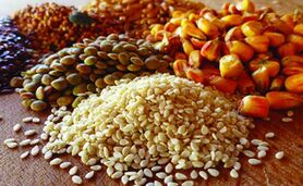 قیمت نهاده های دامی و کشاورزی ۵ اردیبهشت ۱۴۰۳+ جدول

