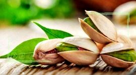برپایی جشنواره پسته پربار تر از همیشه
