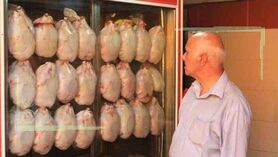 قیمت انواع مرغ در ۲۵ مهر ۱۴۰۲