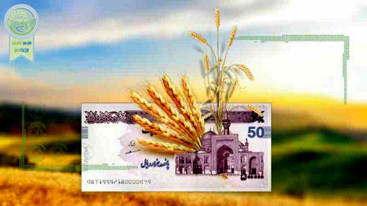 تسویه 155 هزار میلیارد تومان مطالبات گندمکاران