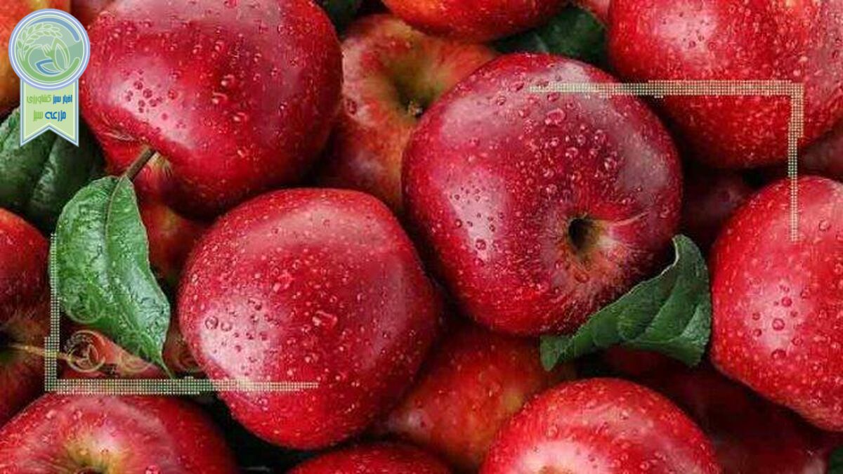 کدام میوه‌ها قاتل بیماری‌های ویروسی هستند؟