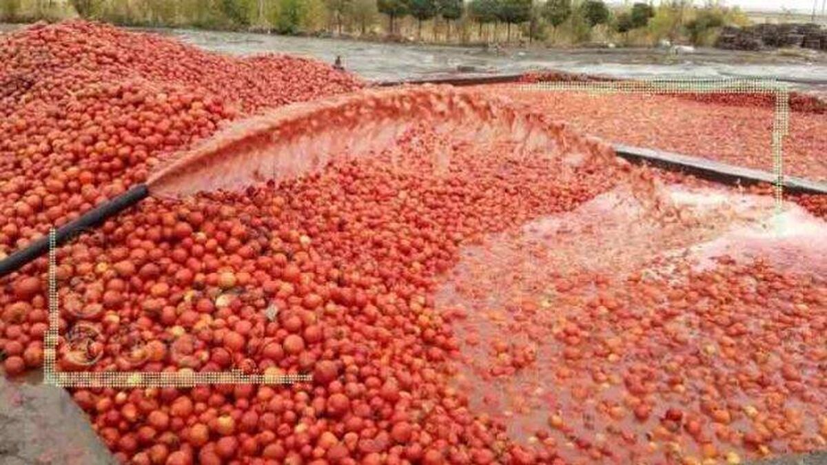 واکاوی اتلاف محصولات کشاورزی