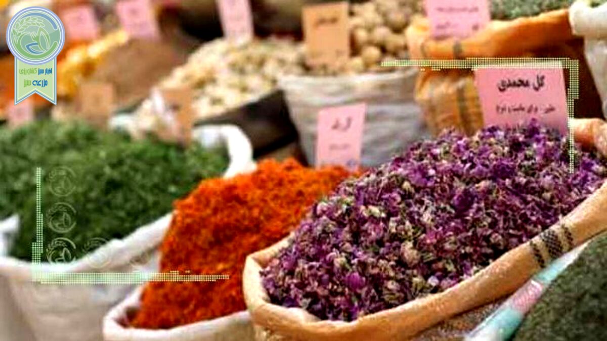 بذر گیاهان دارویی سبز نشد
