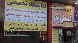 افتتاح نمایشگاه تخصصی کشاورزی در قزوین