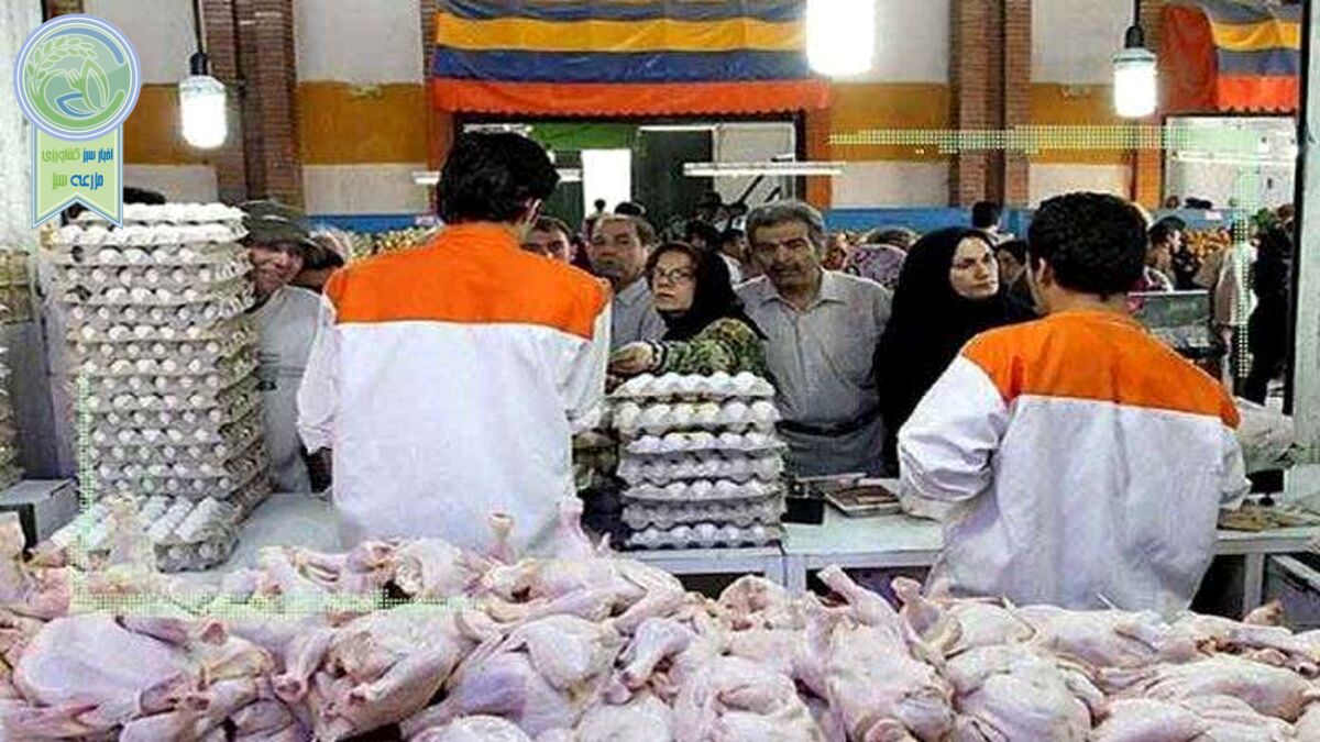 قیمت انواع مرغ در ۱۰ آبان ۱۴۰۲