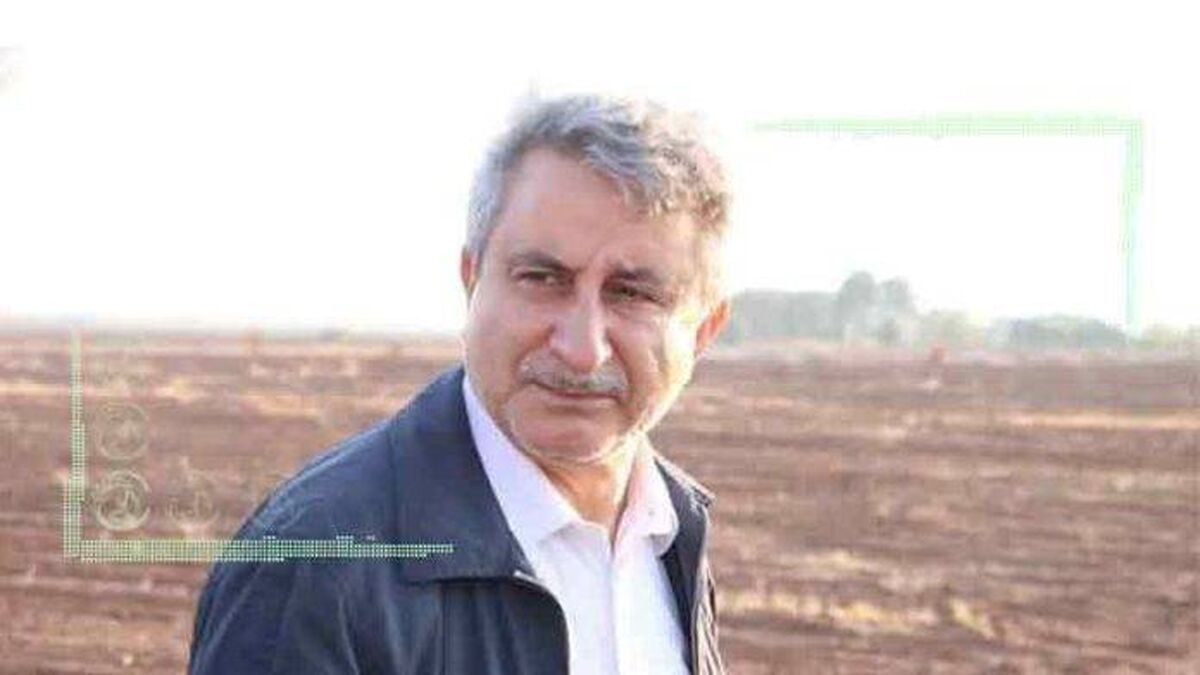 تولید گندم با کیفیت در دستور کار است