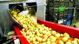 توسعه صنایع راهی برای کاهش ضایعات کشاورزی