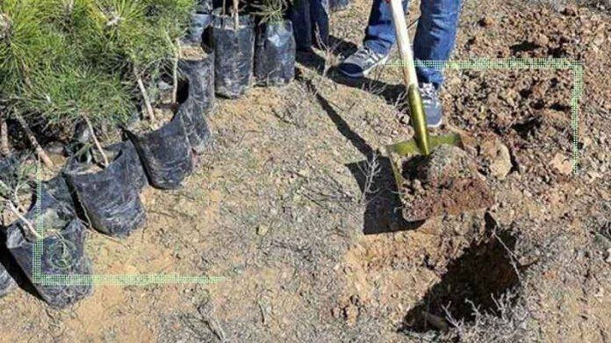 صنایع به مسئولیت اجتماعی خود پایبند باشند