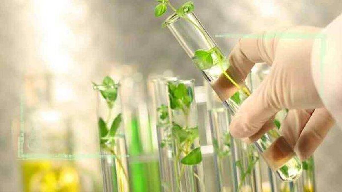 8 هزار ذخیره ژنتیکی در ایران وجود دارد