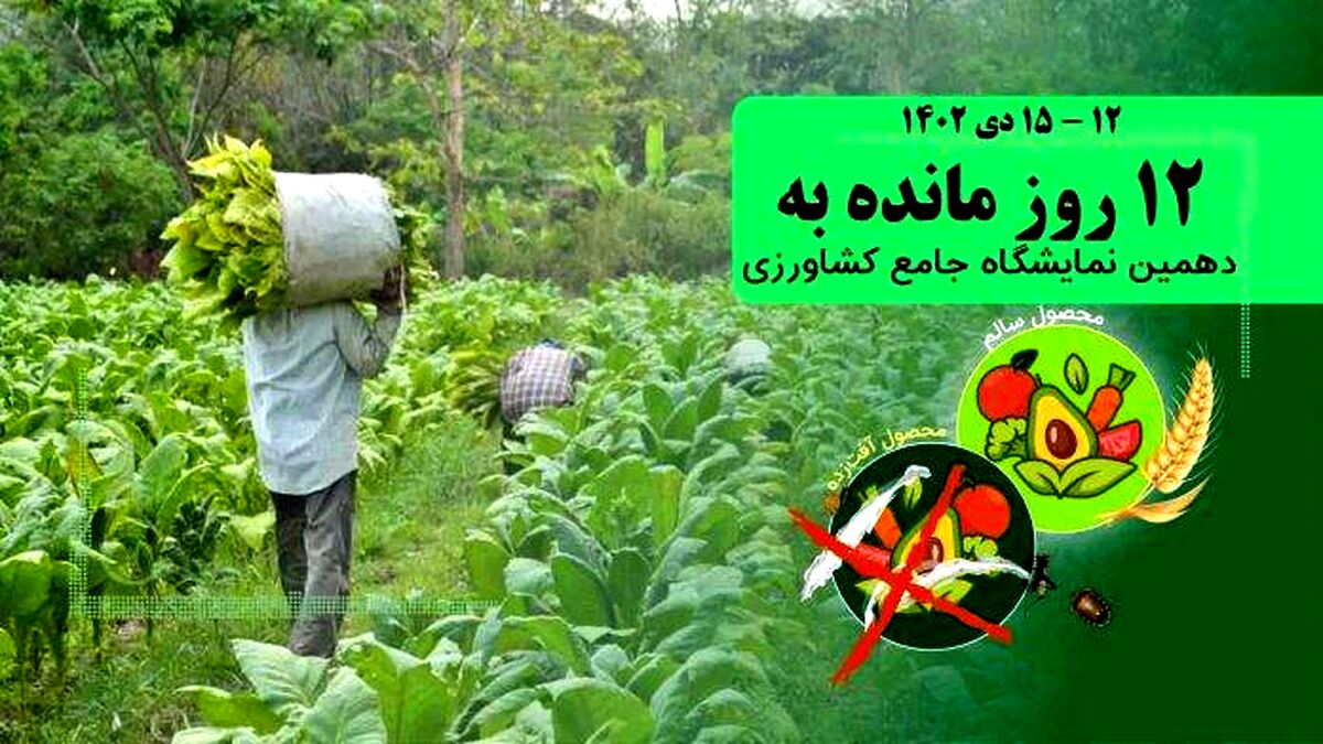 غذای سالم درگرو تولید سالم
