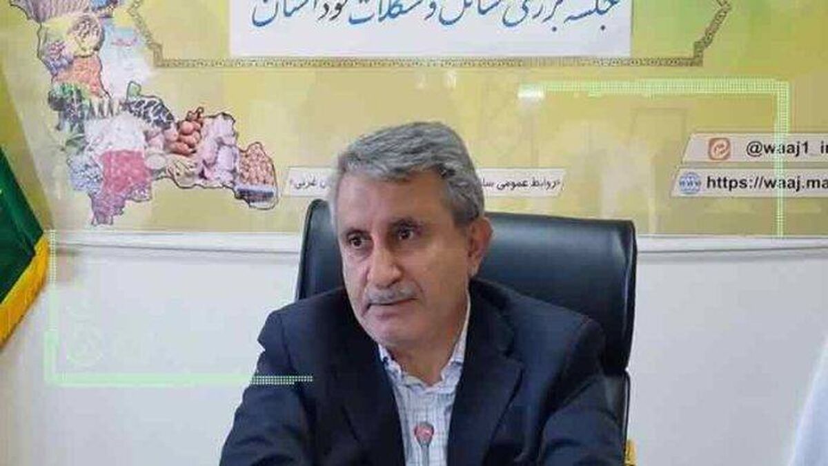 افزایش ۳ برابری تولید محصولات با اصلاح بذر