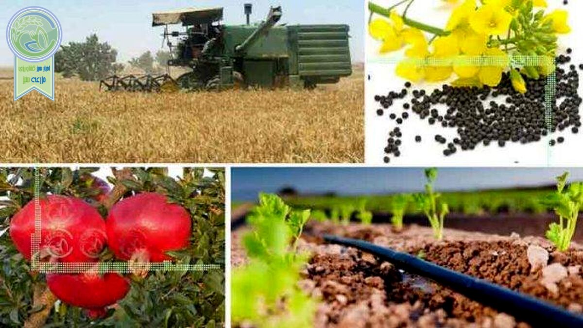 خط قرمز تامین غذای سالم و کافی است