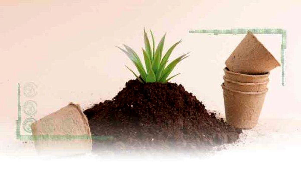 بازگشت به کودهای طبیعی