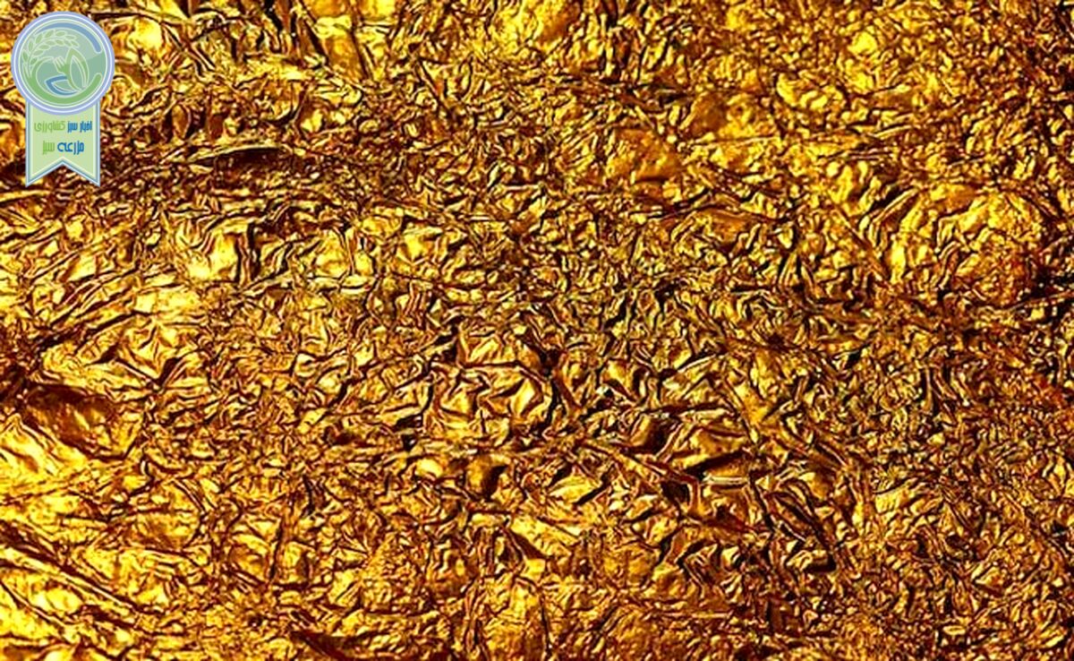 قیمت سکه و طلا امروز سه شنبه۲ بهمن ۱۴۰۳+ جدول

