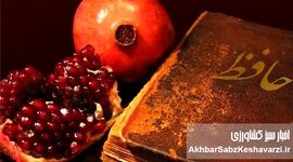 فردای شب یلدا را تعطیل کنید/ مردم برای آرامش به این تعطیلی نیاز دارند