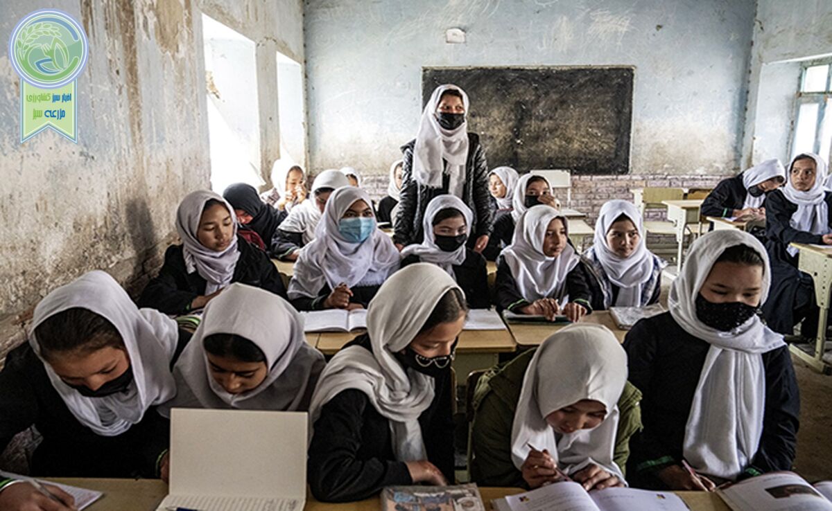 تأمین مدارس در افغانستان، کشت جلبک دریایی در آمریکا، خشکسالی در سومالی