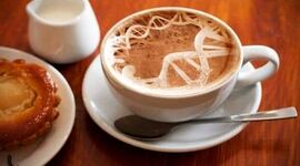 ژنتیک و قهوه؛ عوامل ژنتیکی بر عشق یا نفرت به قهوه تاثیرگذارند

