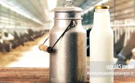 وزیر جهاد کشاورزی: افزایش قیمت لبنیات نتیجه ی فشار شاخص‌های کلان اقتصاد است