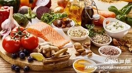 حمل‌ونقل مواد غذایی در شرایط جنگی؛ از تهدید زنجیره تأمین تا راهکارهای تاب‌آوری