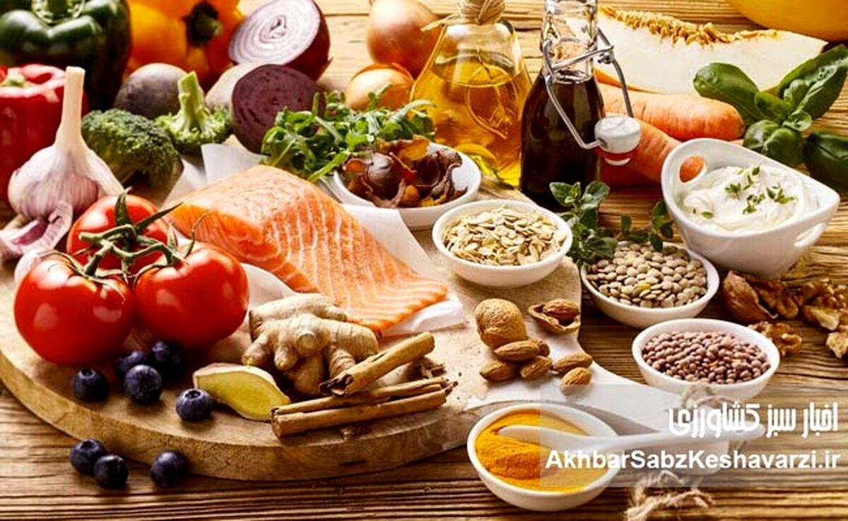حمل‌ونقل مواد غذایی در شرایط جنگی؛ از تهدید زنجیره تأمین تا راهکارهای تاب‌آوری