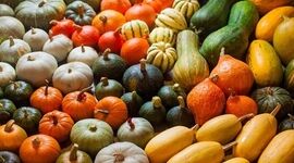 کدو حلوایی و تقویت سیستم ایمنی بدن