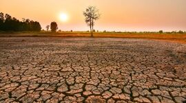 ال‌نینوی شدید در کمین تولید برنج و امنیت غذایی جهان