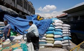 دلیل گرانی عجیب برنج مشخص شد

