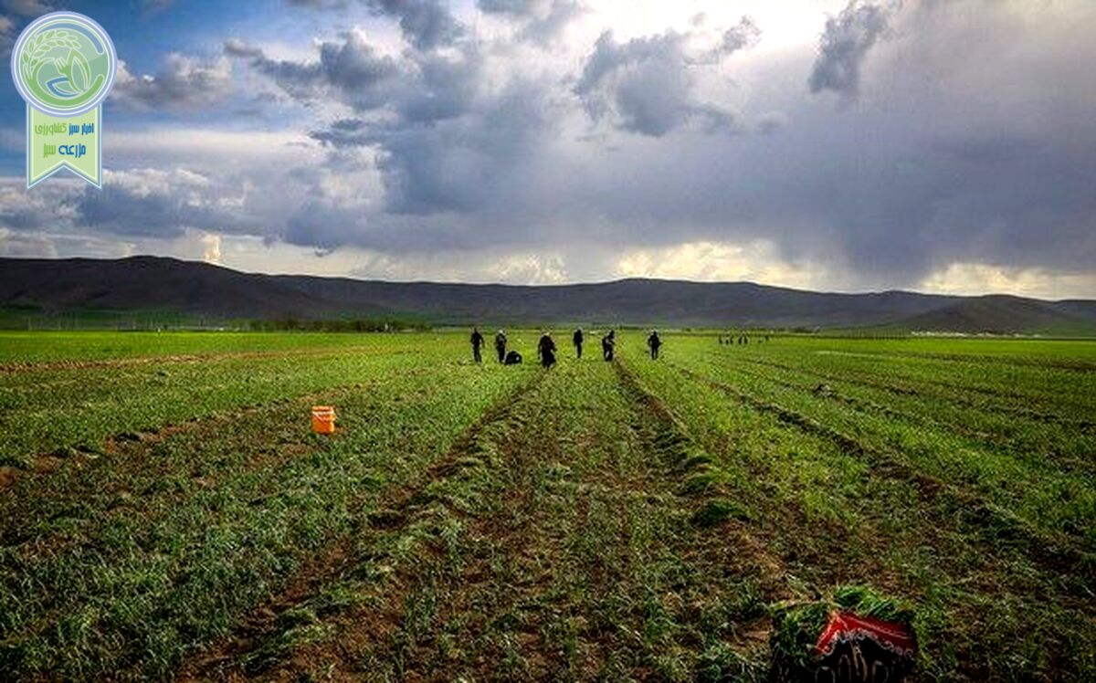 جذب اهداکنندگان علاقه مند به کشاورزی هوشمند آب و هوایی