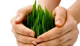 استمرار و عادت پذیری کشاورزان ضرورتی برای توسعه بیمه کشاورزی