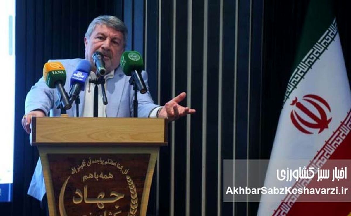 تأمین کالاهای اساسی در جنگ؛ روایت دولت از آرامش بازار