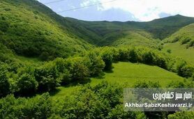 شکایت بین‌المللی حمله به سازمان منابع طبیعی پیگیری می‌شود
