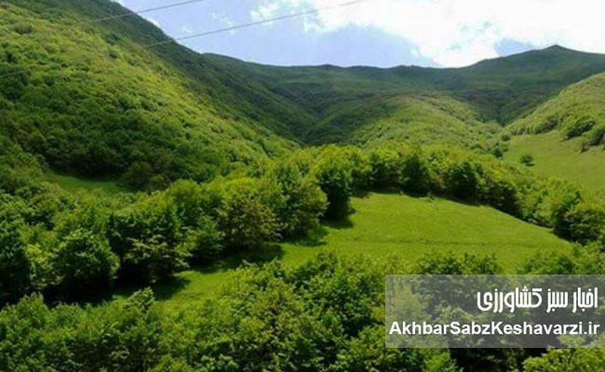 صدور بیش از ۲ هزار سند رسمی در نوشهر؛ گامی برای تقویت سرمایه‌گذاری و تولید