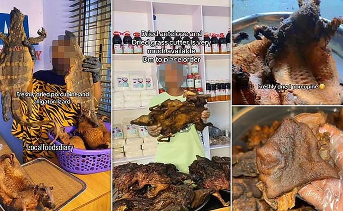 فروش آنلاین گوشت‌های عجیب و خطرناک