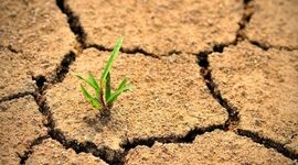 هر کسی آن دِرَوَد عاقبت کار که کِشت

