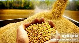 داد و فغان رسانه های حکومتی از فساد سیستماتیک در وزارت جهاد کشاورزی