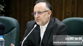 صنعت چوب و کاغذ مازندران در آستانه ورشکستگی / ضرورت اصلاح قانون «تنفس جنگل»