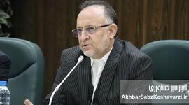 صنعت چوب و کاغذ مازندران در آستانه ورشکستگی / ضرورت اصلاح قانون «تنفس جنگل»
