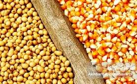 بازار نهاده‌ها در پیچ بزرگ؛ شفافیت یا شکل تازه‌ای از رانت؟