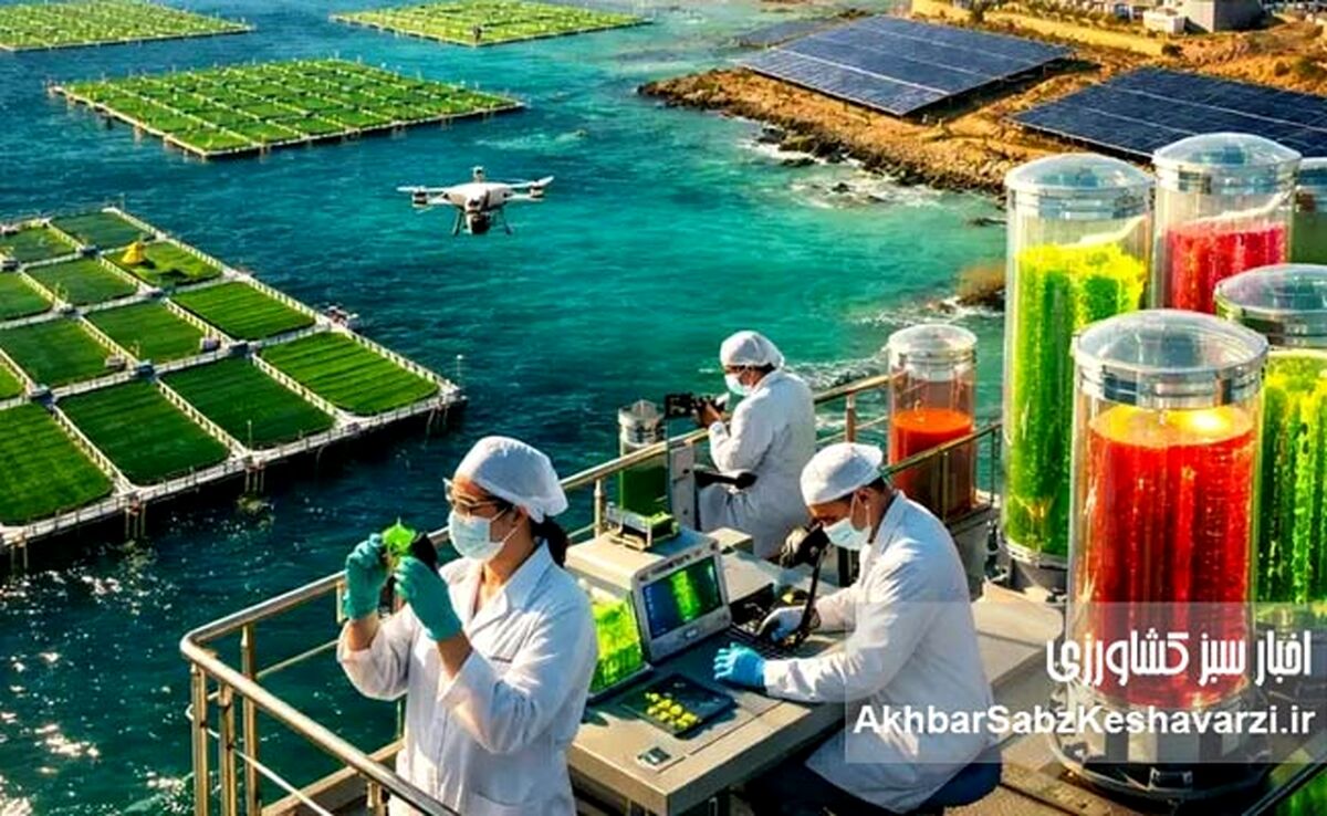 مکران؛ آزمایشگاه غول‌آسای بیوتکنولوژی یا فقط یک ساحل صیادی؟