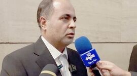 وزیر خبر حذف ارز ترجیحی گوشت را تکذیب کرد+ ویدئو

