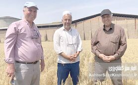 حفظ بقایای گیاهی اراضی دیم گلستان: معجزه‌ای برای خاک تشنه و کلید افزایش تولید+ ویدئو