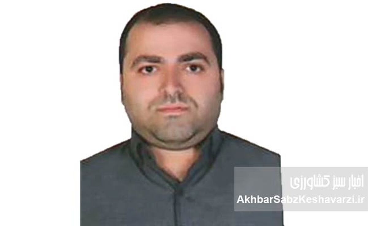سودآوری در سایه سلامت؛ روان‌شناسی سلامت چگونه بهره‌وری و سودآوری سازمان‌ها را دگرگون می‌کند؟
