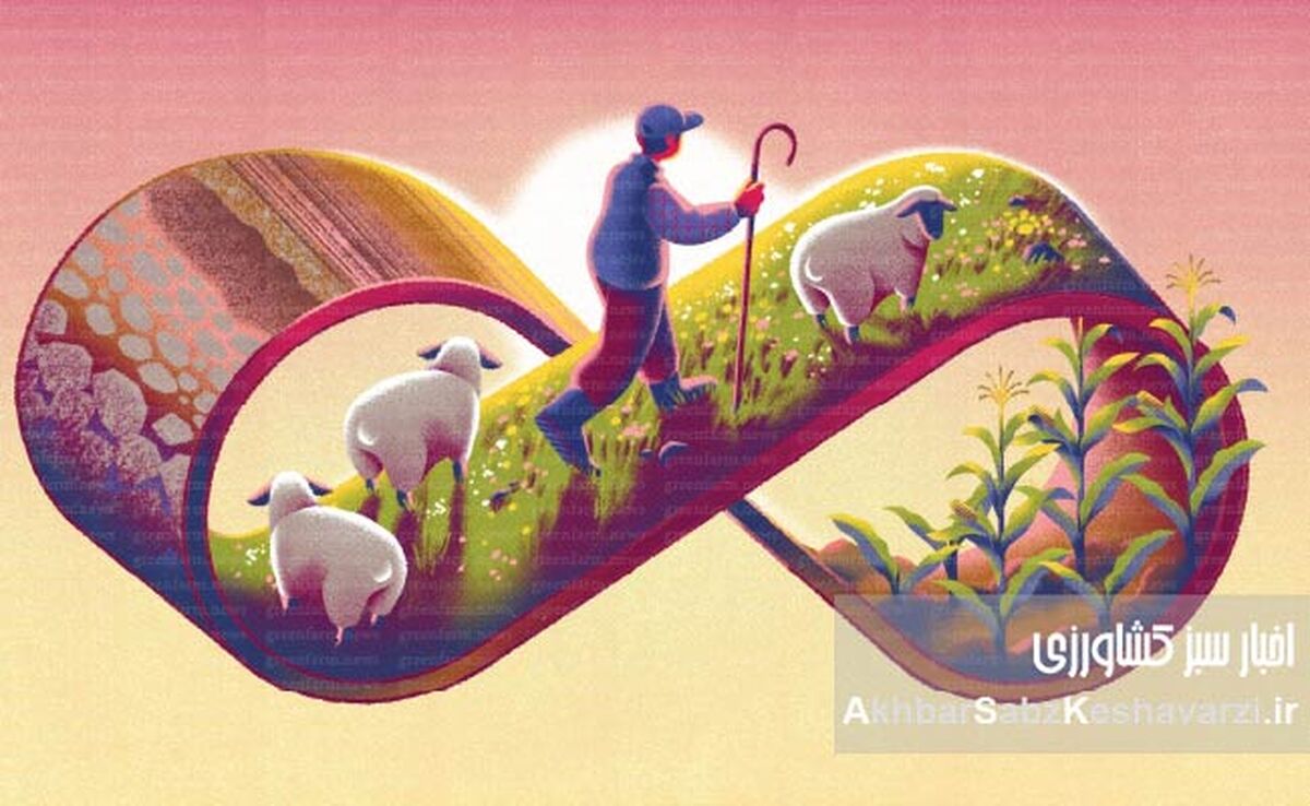 تغذیه دام با ضایعات میوه؛ راهکاری برای آینده‌ای سبزتر؟