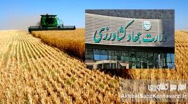 چالش‌های کشاورزی ایران و هشدارهایی که دکتر پزشکیان باید جدی بگیرد