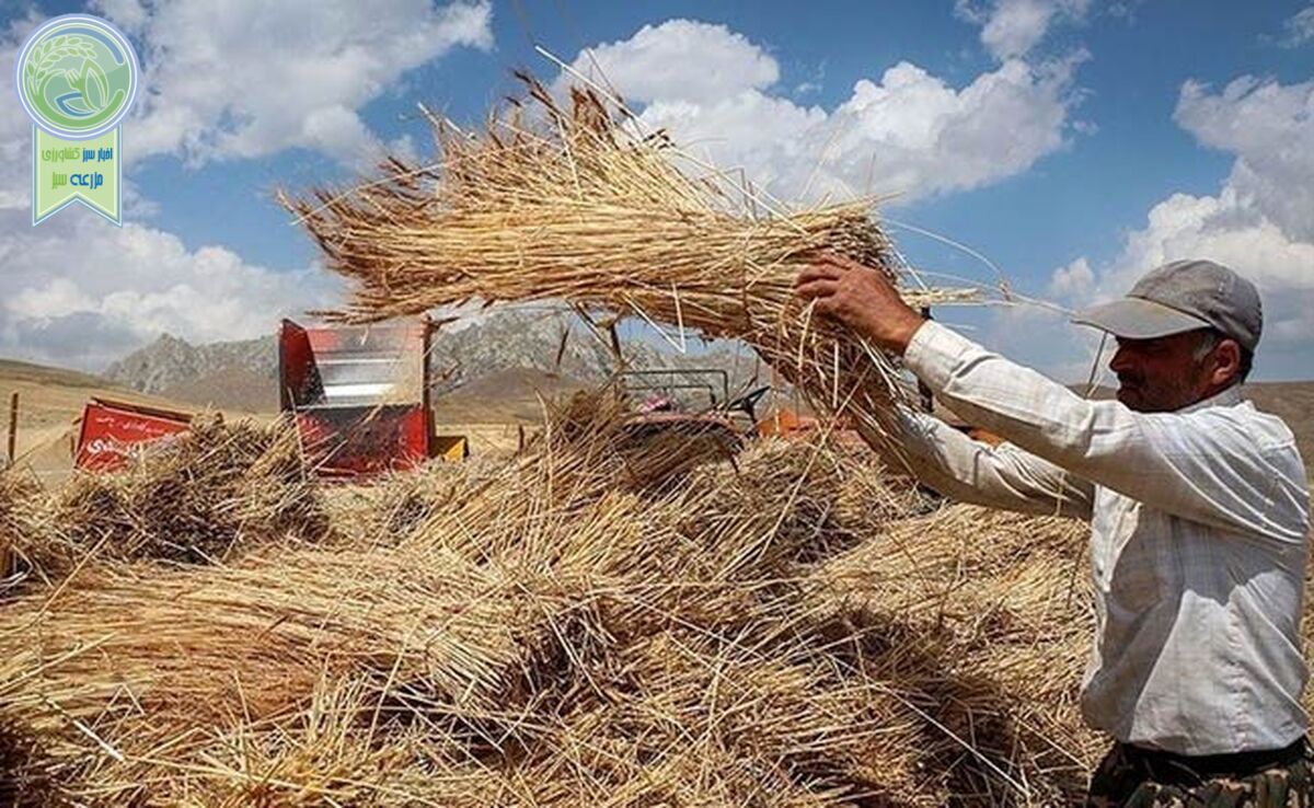 رونمایی از سامانه کشت قراردادی تا پایان سال

