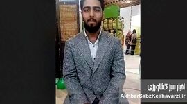 روایت ویتا سیب از چای میوه‌ای ایرانی+ ویدئو