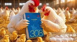 انتشار نقشه‌راه تازه راس ۳۰۸؛ راهنمایی که صنعت طیور منتظرش بود