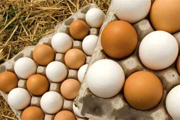 تولید بیش از یک میلیون و ۳۰۰ هزارتن تخم مرغ در کشور

