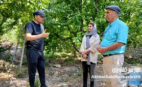 فراتر از مزرعه: نقش شگفت‌انگیز زنان در کشاورزی و باغداری ایران+ ویدئو